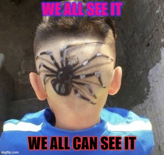 Noice hair | WE ALL SEE IT; WE ALL CAN SEE IT | image tagged in spider,haircut | made w/ Imgflip meme maker