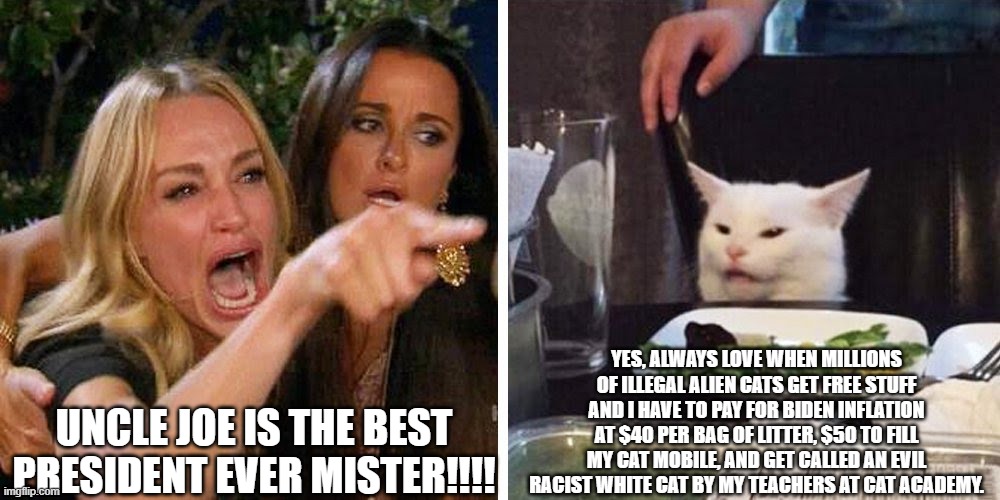 Animals Getting Woke | UNCLE JOE IS THE BEST PRESIDENT EVER MISTER!!!! YES, ALWAYS LOVE WHEN MILLIONS OF ILLEGAL ALIEN CATS GET FREE STUFF AND I HAVE TO PAY FOR BIDEN INFLATION AT $40 PER BAG OF LITTER, $50 TO FILL MY CAT MOBILE, AND GET CALLED AN EVIL RACIST WHITE CAT BY MY TEACHERS AT CAT ACADEMY. | image tagged in smudge the cat | made w/ Imgflip meme maker