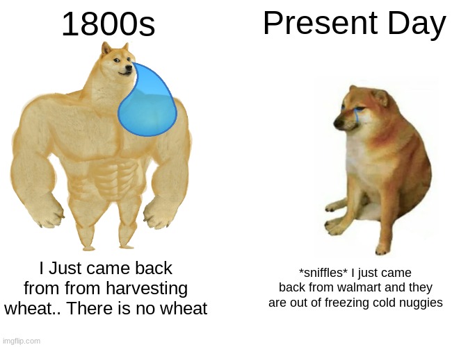 over 200 years the world has changed a lot | 1800s; Present Day; I Just came back from from harvesting wheat.. There is no wheat; *sniffles* I just came back from walmart and they are out of freezing cold nuggies | image tagged in memes,buff doge vs cheems | made w/ Imgflip meme maker