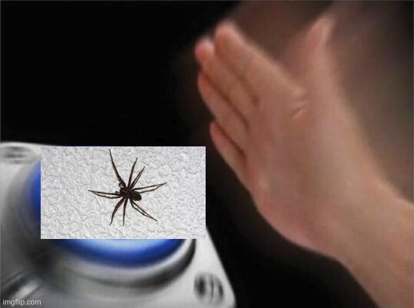 kill the spider on the button | image tagged in memes,blank nut button | made w/ Imgflip meme maker