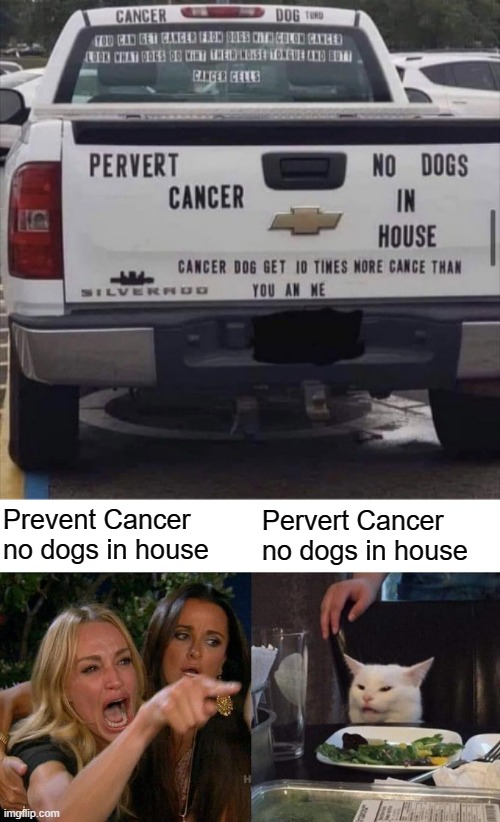 Prevent Cancer no dogs in house; Pervert Cancer no dogs in house | image tagged in memes,woman yelling at cat | made w/ Imgflip meme maker