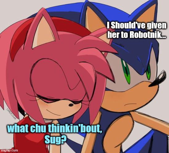 Sonic Groupie | I Should've given her to Robotnik... what chu thinkin'bout, 
Sug? | image tagged in sonic,sonic the hedgehog,amy rose,annoying,crazy ex girlfriend | made w/ Imgflip meme maker