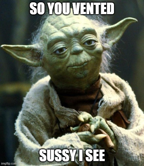 Star Wars Yoda | SO YOU VENTED; SUSSY I SEE | image tagged in memes,star wars yoda | made w/ Imgflip meme maker