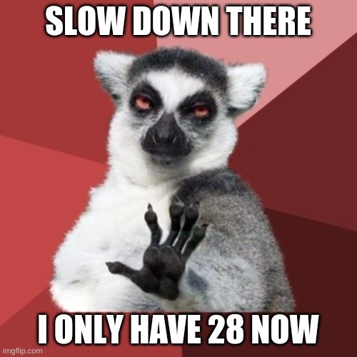 Chill Out Lemur Meme | SLOW DOWN THERE I ONLY HAVE 28 NOW | image tagged in memes,chill out lemur | made w/ Imgflip meme maker