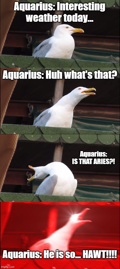 Jeez Aquarius, who knew you were a crazy simp?! | Aquarius: Interesting weather today... Aquarius: Huh what's that? Aquarius: IS THAT ARIES?! Aquarius: He is so... HAWT!!!! | image tagged in memes,inhaling seagull | made w/ Imgflip meme maker