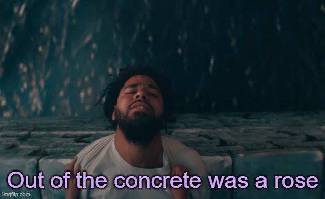 . | Out of the concrete was a rose | made w/ Imgflip meme maker