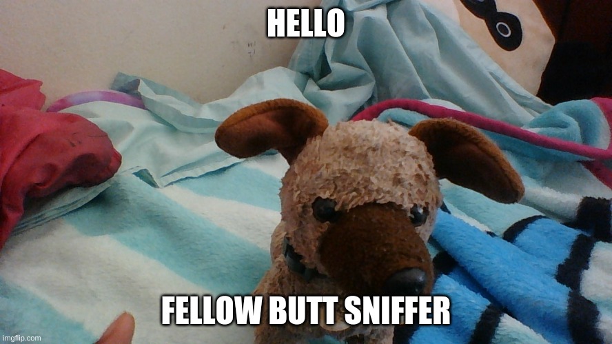 HELLO FELLOW BUTT SNIFFER | made w/ Imgflip meme maker