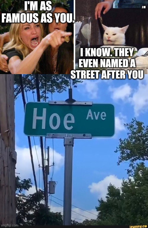 I'M AS FAMOUS AS YOU. J M; I KNOW. THEY EVEN NAMED A STREET AFTER YOU | image tagged in smudge the cat | made w/ Imgflip meme maker