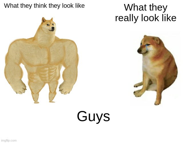 Buff Doge vs. Cheems Meme | What they think they look like; What they really look like; Guys | image tagged in memes,buff doge vs cheems | made w/ Imgflip meme maker