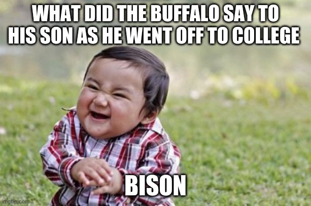 Evil Toddler | WHAT DID THE BUFFALO SAY TO HIS SON AS HE WENT OFF TO COLLEGE; BISON | image tagged in memes,evil toddler | made w/ Imgflip meme maker
