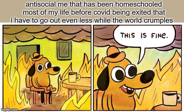 lol | antisocial me that has been homeschooled most of my life before covid being exited that i have to go out even less while the world crumples | image tagged in memes,this is fine | made w/ Imgflip meme maker