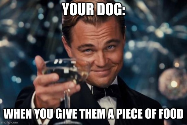 Leonardo Dicaprio Cheers |  YOUR DOG:; WHEN YOU GIVE THEM A PIECE OF FOOD | image tagged in memes,leonardo dicaprio cheers | made w/ Imgflip meme maker