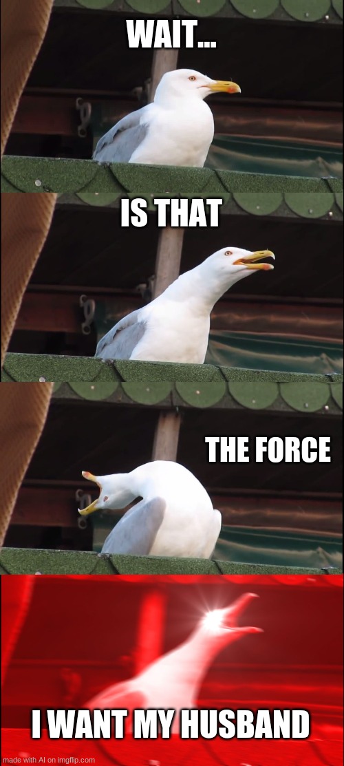 Calm down Padmé | WAIT... IS THAT; THE FORCE; I WANT MY HUSBAND | image tagged in memes,inhaling seagull | made w/ Imgflip meme maker
