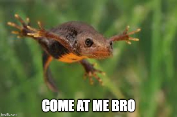 Crazy Salamader | COME AT ME BRO | image tagged in imgflip | made w/ Imgflip meme maker