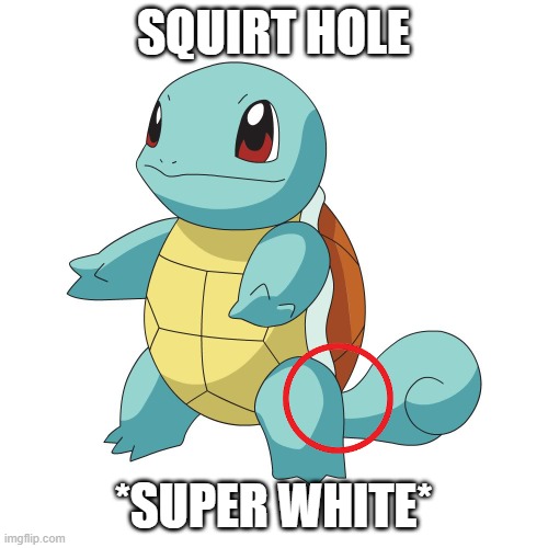 SQUIRT HOLE *SUPER WHITE* | image tagged in squirtle | made w/ Imgflip meme maker