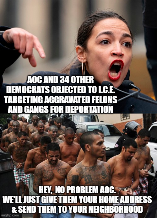 She Will Never learn | AOC AND 34 OTHER DEMOCRATS OBJECTED TO I.C.E. TARGETING AGGRAVATED FELONS
AND GANGS FOR DEPORTATION; HEY,  NO PROBLEM AOC.
WE'LL JUST GIVE THEM YOUR HOME ADDRESS & SEND THEM TO YOUR NEIGHBORHOOD | image tagged in aoc,the squad,talib,ice,ms-13,gangs | made w/ Imgflip meme maker