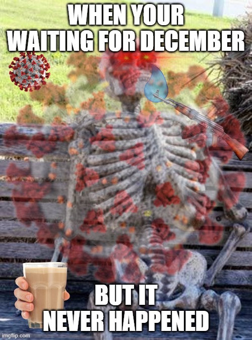 rip skeleton | WHEN YOUR WAITING FOR DECEMBER; BUT IT NEVER HAPPENED | image tagged in waiting skeleton,december,bored,sad,memes,fun | made w/ Imgflip meme maker