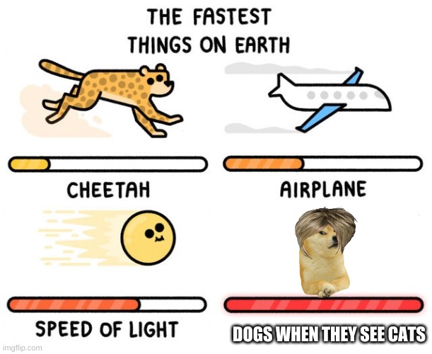 fast doges |  DOGS WHEN THEY SEE CATS | image tagged in fastest thing possible | made w/ Imgflip meme maker