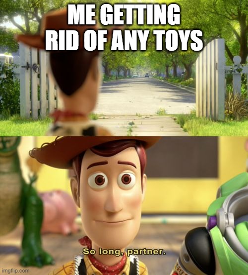 *sad music* | ME GETTING RID OF ANY TOYS | image tagged in so long partner | made w/ Imgflip meme maker