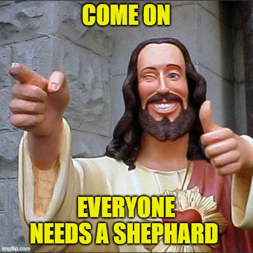 Buddy Christ Meme | COME ON EVERYONE NEEDS A SHEPHARD | image tagged in memes,buddy christ | made w/ Imgflip meme maker