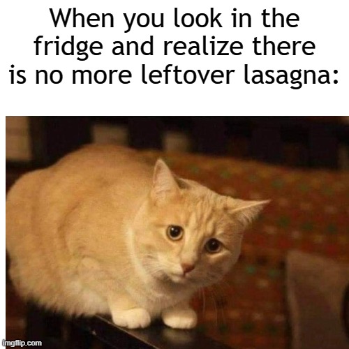 Boo hiss! | When you look in the fridge and realize there is no more leftover lasagna: | image tagged in funny memes,italian,pasta,lasagna,food | made w/ Imgflip meme maker