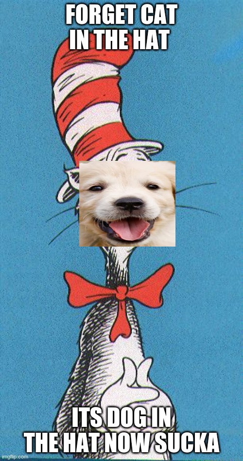 cat in the hat | FORGET CAT IN THE HAT; ITS DOG IN THE HAT NOW SUCKA | image tagged in cat in the hat | made w/ Imgflip meme maker