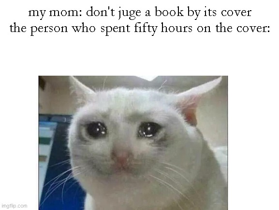sadness |  my mom: don't juge a book by its cover
the person who spent fifty hours on the cover: | image tagged in crying cat,sad,author,double d facts book,books | made w/ Imgflip meme maker