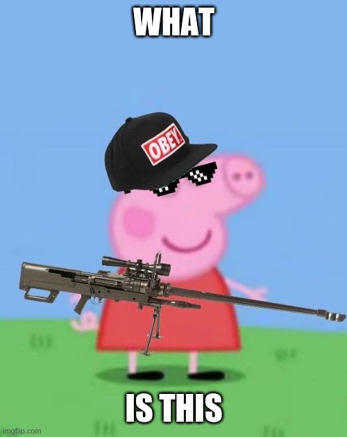 more cursed images (this ones not that cursed) | WHAT; IS THIS | image tagged in mlg peppa pig | made w/ Imgflip meme maker