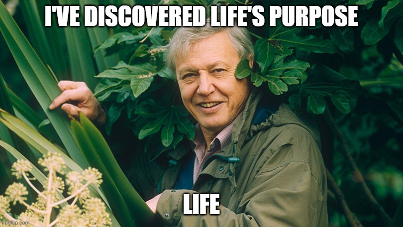 Life purpose | I'VE DISCOVERED LIFE'S PURPOSE; LIFE | image tagged in david attenborough natural habitat | made w/ Imgflip meme maker