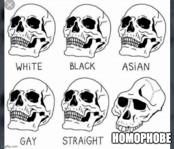 White Black Asian Gay Straight skull template | HOMOPHOBE | image tagged in white black asian gay straight skull template | made w/ Imgflip meme maker