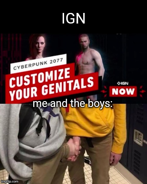 IGN; me and the boys: | image tagged in gaming,cyberpunk,ign,funny | made w/ Imgflip meme maker