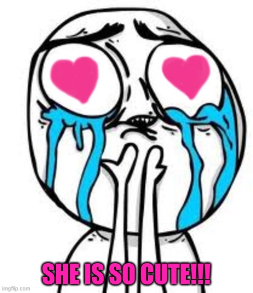 this is so cute | SHE IS SO CUTE!!! | image tagged in this is so cute | made w/ Imgflip meme maker
