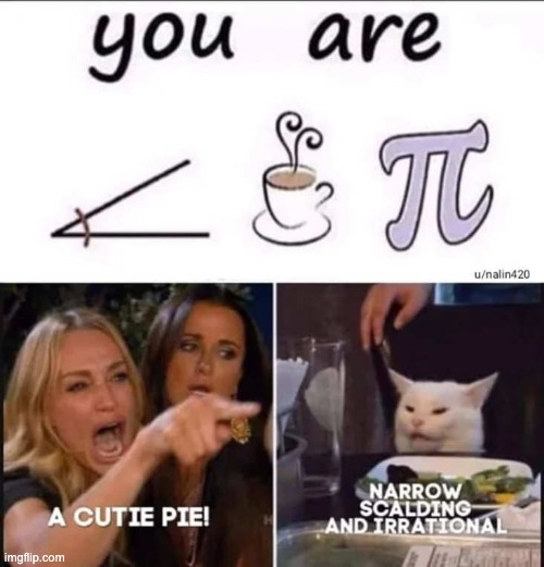 Sometimes things have different meanings | image tagged in angry lady cat,roasted,math,puns,memes | made w/ Imgflip meme maker