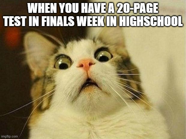 Scared Cat Meme | WHEN YOU HAVE A 20-PAGE TEST IN FINALS WEEK IN HIGHSCHOOL | image tagged in memes,scared cat | made w/ Imgflip meme maker
