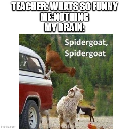 goat | TEACHER: WHATS SO FUNNY
ME:NOTHING
MY BRAIN: | image tagged in memes | made w/ Imgflip meme maker