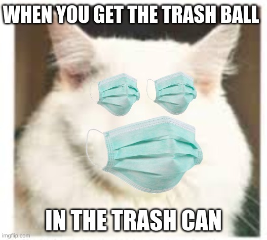 WHEN YOU GET THE TRASH BALL; IN THE TRASH CAN | image tagged in dick | made w/ Imgflip meme maker