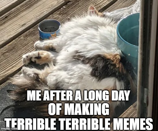 tired patches | ME AFTER A LONG DAY; OF MAKING TERRIBLE TERRIBLE MEMES | image tagged in tired patches,long day,cats,funny,bruh | made w/ Imgflip meme maker