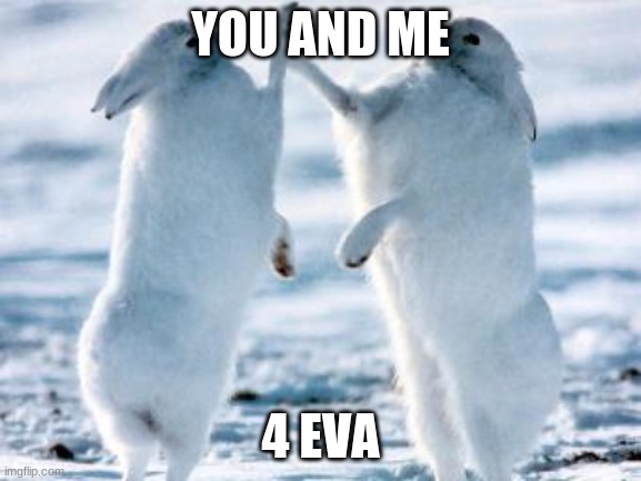 YOU AND ME 4 EVA | image tagged in best friends | made w/ Imgflip meme maker