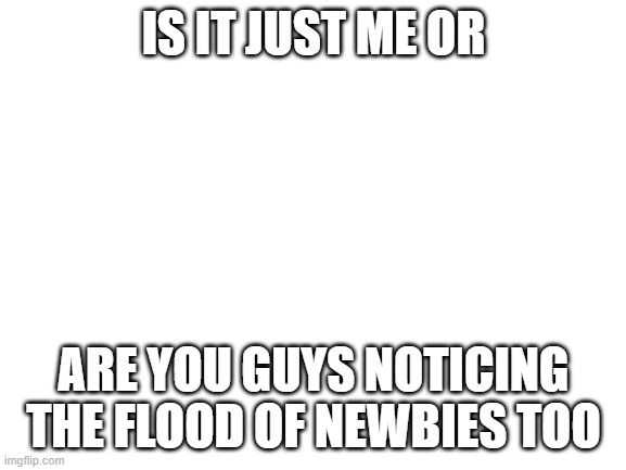 there everywhere! | IS IT JUST ME OR; ARE YOU GUYS NOTICING THE FLOOD OF NEWBIES TOO | image tagged in blank white template | made w/ Imgflip meme maker