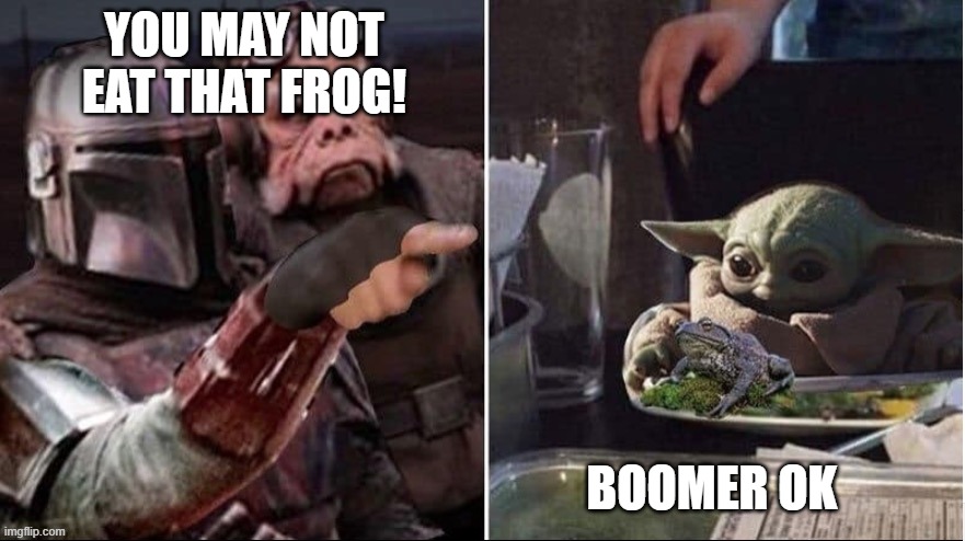 lol | YOU MAY NOT EAT THAT FROG! BOOMER OK | image tagged in t | made w/ Imgflip meme maker