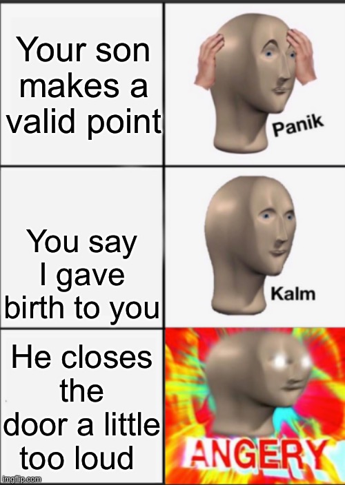 Panik Kalm Angery | Your son makes a valid point; You say I gave birth to you; He closes the door a little too loud | image tagged in panik kalm angery | made w/ Imgflip meme maker
