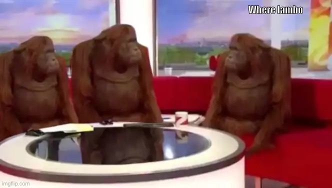 Where Orangutan | Where lambo | image tagged in where orangutan | made w/ Imgflip meme maker