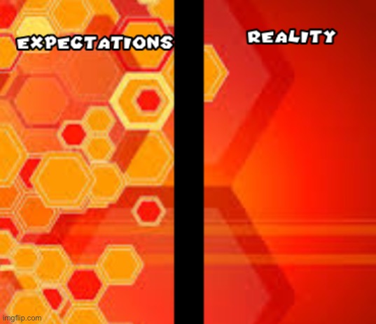 New template | image tagged in expectations vs reality | made w/ Imgflip meme maker