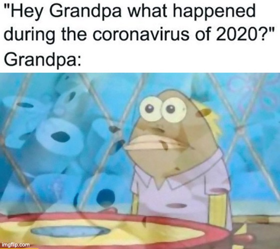 The flash backs... THERE IN THE TOILET PAPERR | image tagged in flashback,spongebob fish vietnam flashback,corona virus,covid 19,memes,in the future | made w/ Imgflip meme maker