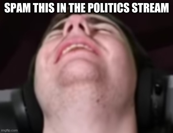 sapnap erection | SPAM THIS IN THE POLITICS STREAM | image tagged in sapnap erection | made w/ Imgflip meme maker