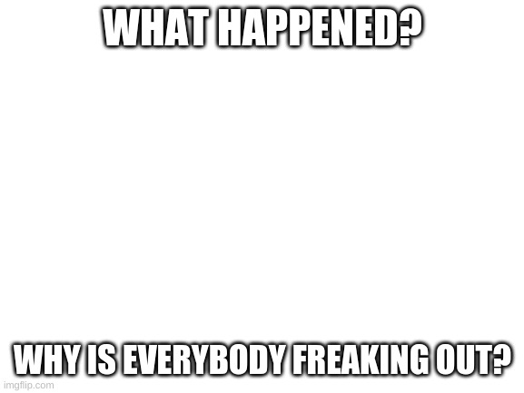 i dont get it | WHAT HAPPENED? WHY IS EVERYBODY FREAKING OUT? | image tagged in blank white template | made w/ Imgflip meme maker