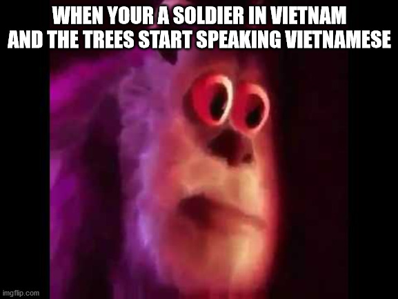 Sully Groan | WHEN YOUR A SOLDIER IN VIETNAM AND THE TREES START SPEAKING VIETNAMESE | image tagged in sully groan,oh no,help me,this is fine | made w/ Imgflip meme maker