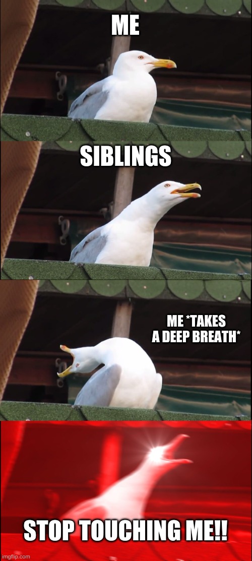 Inhaling Seagull | ME; SIBLINGS; ME *TAKES A DEEP BREATH*; STOP TOUCHING ME!! | image tagged in memes,inhaling seagull | made w/ Imgflip meme maker