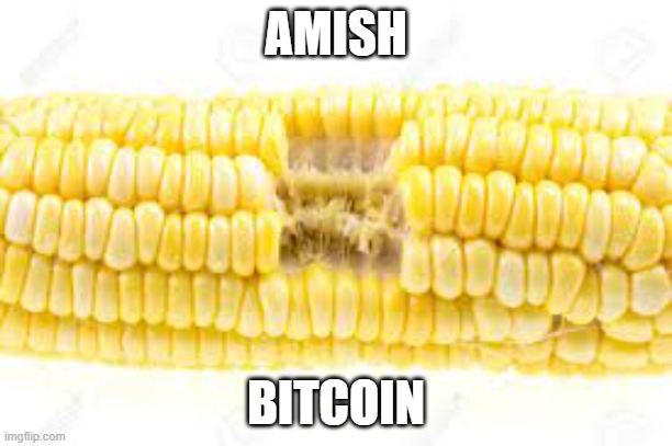 Amish Bitcoin | AMISH; BITCOIN | image tagged in bitcoin,amish | made w/ Imgflip meme maker