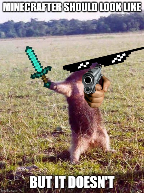 Fight me anteater | MINECRAFTER SHOULD LOOK LIKE; BUT IT DOESN'T | image tagged in fight me anteater | made w/ Imgflip meme maker